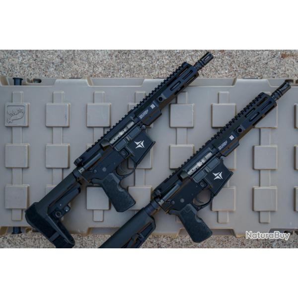 Carabine Triarc System 8,3" Tsr-15s En 300 Blk