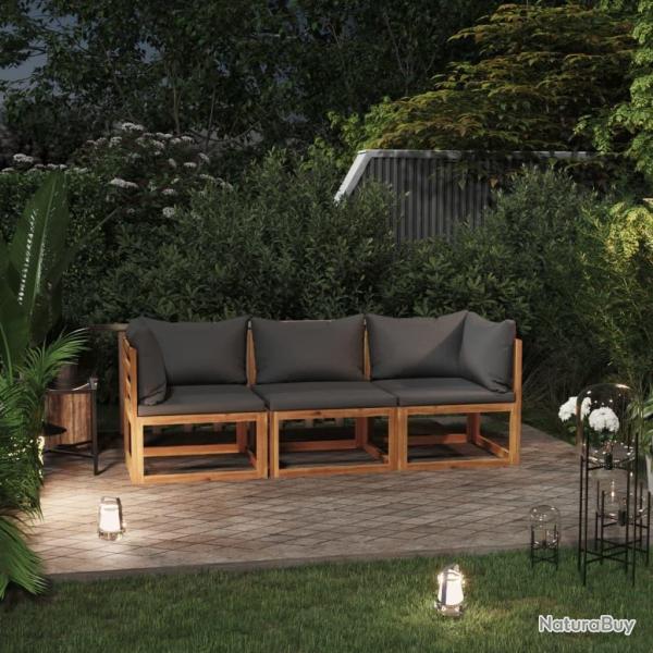 Canap� de jardin � 3 places avec coussin Bois d'acacia massif