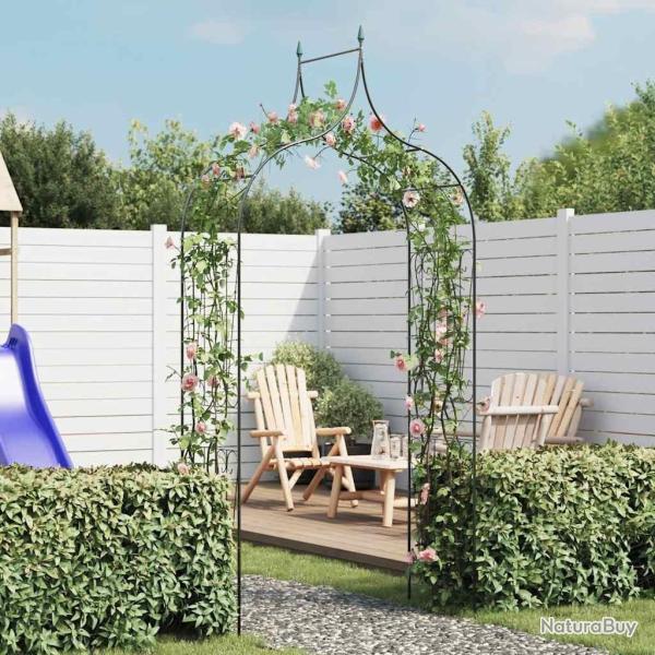 Arche de jardin Design de piquet plantes grimpantes Vert fonc�