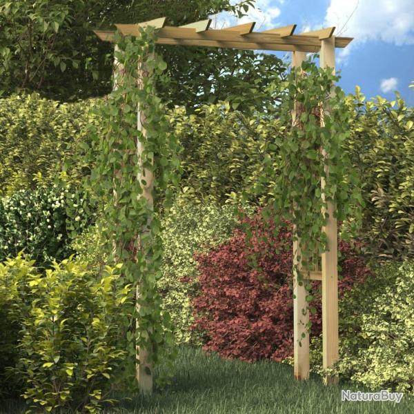 Arche pour rosiers 150 x 60 x 204 cm bois impr�gn�