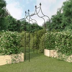 Arches de jardin 2 pcs Noir 120x38x260 cm Acier alsavelo