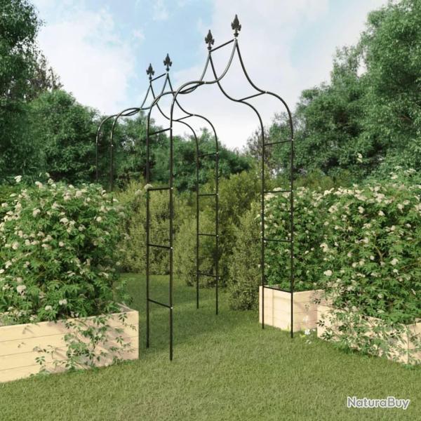 Arches de jardin 2 pcs Noir 120x38x260 cm Acier alsavelo