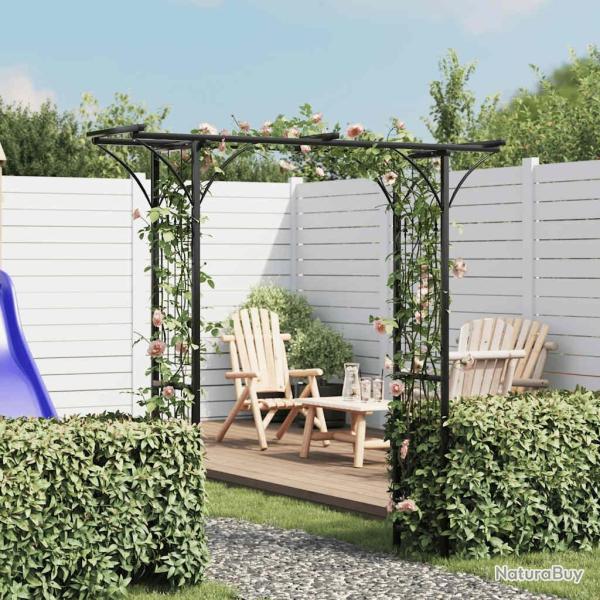 Arche de jardin 200x52x204 cm alsavelo