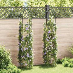 Arche de jardin en forme de tour 2 pcs alsavelo
