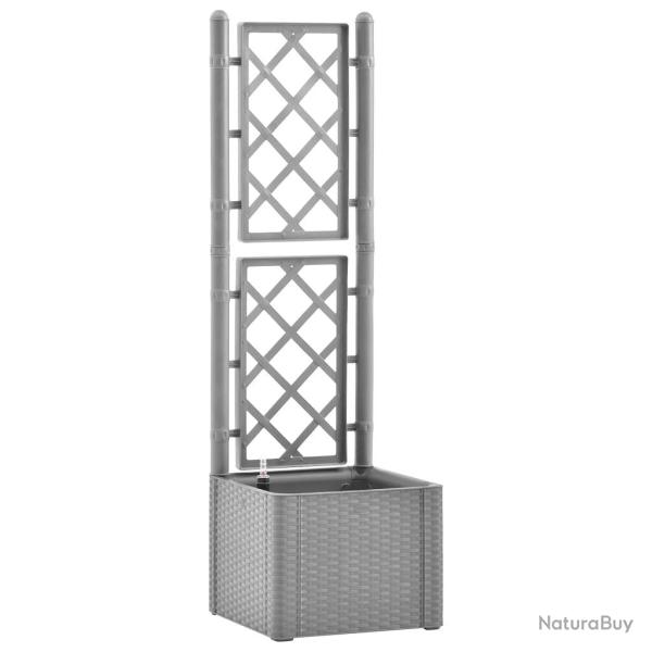 Jardini�re bac lit sur�lev� plantes fleurs terrasse jardin de jardin et treillis et syst�me d'arros