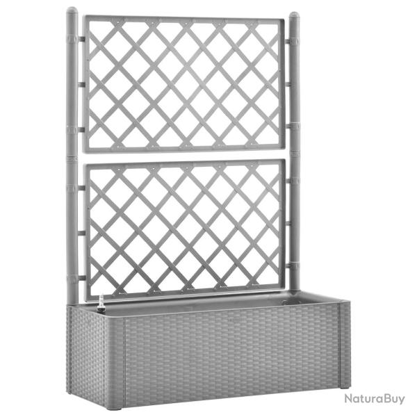 Jardini�re bac lit sur�lev� plantes fleurs terrasse jardin de jardin et treillis et syst�me d'arros