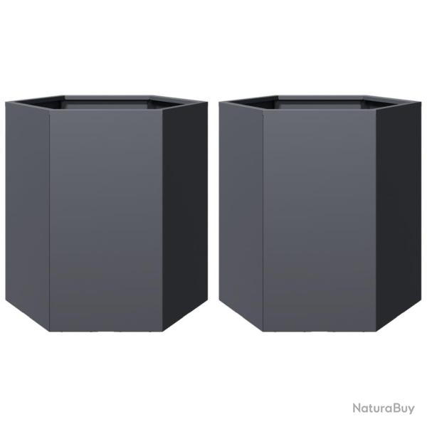 Jardini�re bac lit sur�lev� plantes fleurs jardin terrasses lot de 2 hexagone 46 x 40 x 45 cm acier