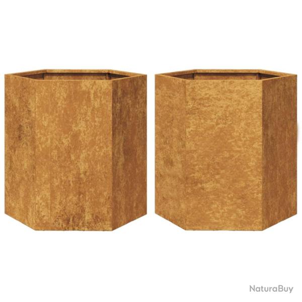 Jardini�re bac lit sur�lev� plantes fleurs jardin terrasses lot de 2 hexagone 46 x 40 x 45 cm acier