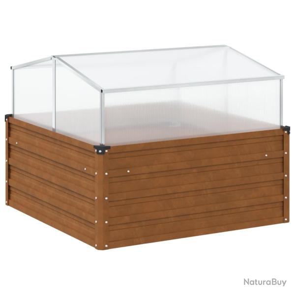 Jardini�re bac lit sur�lev� plantes fleurs terrasse jardin de jardin avec serre acier r�sistant aux