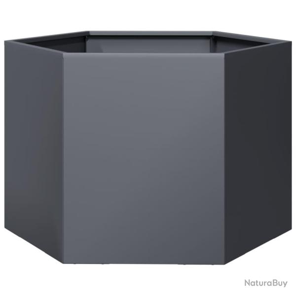 Jardini�re bac lit sur�lev� plantes fleurs terrasse jardin hexagone 69 x 60 x 45 cm acier anthracit