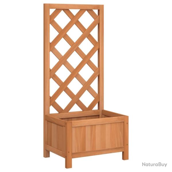 Jardini�re bac lit sur�lev� plantes fleurs terrasse jardin avec treillis bois massif de sapin marro