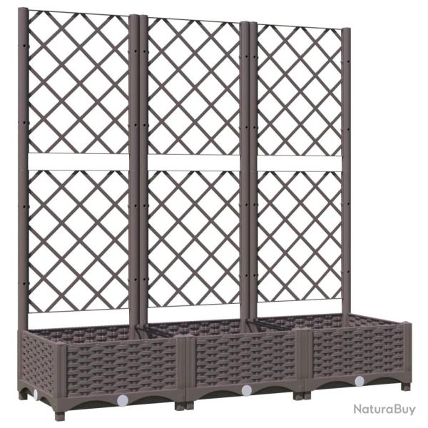 Jardini�re bac lit sur�lev� plantes fleurs terrasse jardin avec treillis 120 x 40 x 121,5 cm PP mar