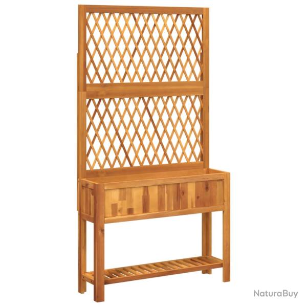 Jardini�re bac lit sur�lev� plantes fleurs terrasse jardin avec treillis et �tag�re bois massif d'a