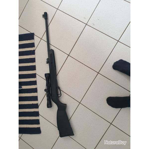 Bonjour je vends une carabine 4.5 gamo avec lunettes 4�32 .housse de protection  kit de nettoyage