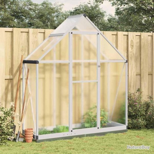 Serre avec cadre de base argent� 169x58x202 cm aluminium