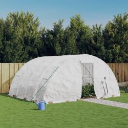 Serre avec cadre en acier blanc 20 m&sup2; 5x4x2,3 m