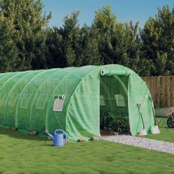 Serre avec cadre en acier vert 24 m&sup2; 8x3x2 m