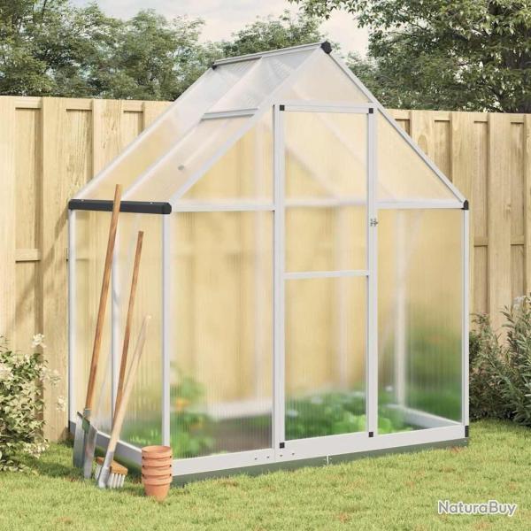 Serre avec cadre de base argent� 169x114x202 cm aluminium