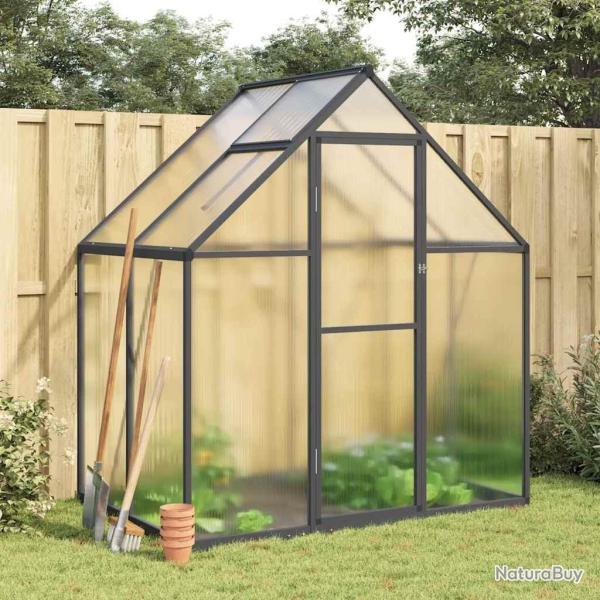 Serre avec cadre de base anthracite 169x114x195 cm aluminium alsavelo