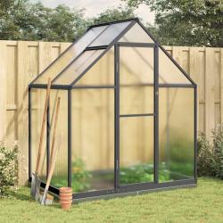 Serre avec cadre de base anthracite 169x114x202 cm aluminium