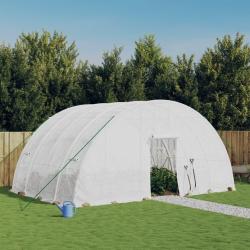 Serre avec cadre en acier blanc 24 m&sup2; 6x4x2,85 m alsavelo