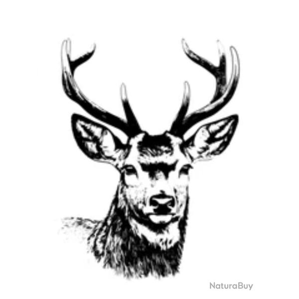 Action de chasse grand gibier Haute-Sa�ne (70)