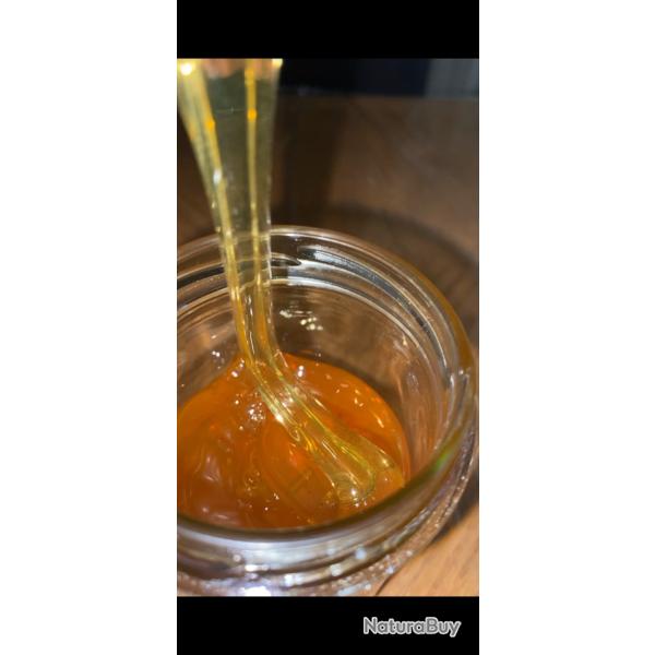 100ml Miel sidr maliky de jujubier Ymen