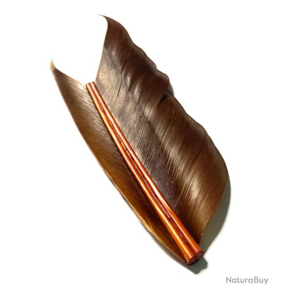 Plumes quill d'oie chocolat
