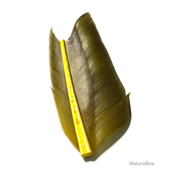 Plumes quill d'oie jaune/olive