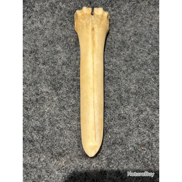 Objet indien des plaines racloir ou al�ne tannage des peaux en os