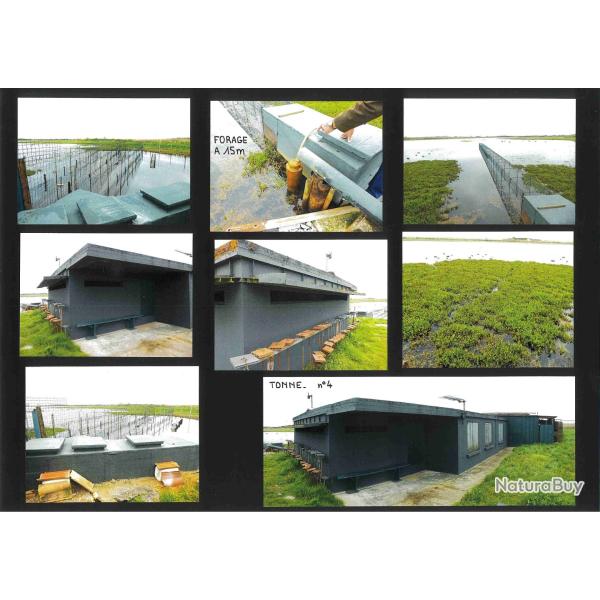 5,7360 ha - 2 TONNES DE TOULON OUEST - ( 33 ) GIRONDE