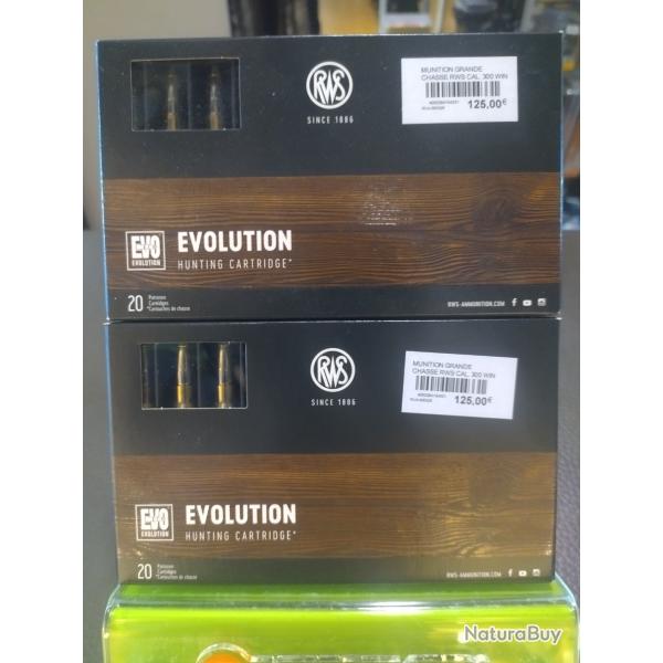 Lot de deux botes de balles rws Evo calibre 300 win mag 11.9g 184gr