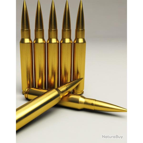 munitions LFB 408 cheytac 419 grs  prix de folie !!