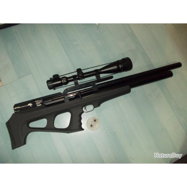 CARABINE PCP WILDCAT AVEC LUNETTE