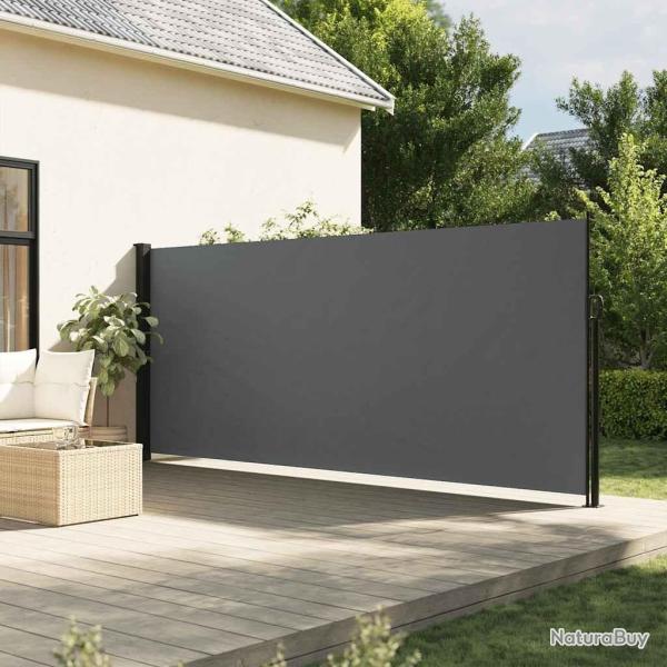 Auvent lat�ral r�tractable anthracite 160x300 cm