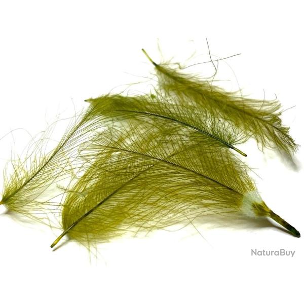 plumes de cdc- cul de canard- dk olive