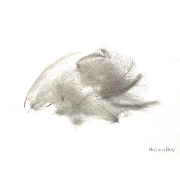 plumes de cdc- cul de canard- gris fonc�