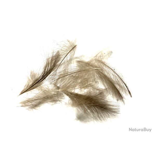 plumes de cdc- cul de canard- beige