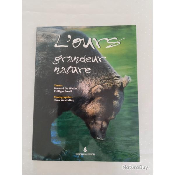 L'ours grandeur nature