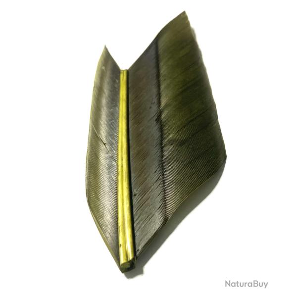 Plumes quill d'oie medium olive