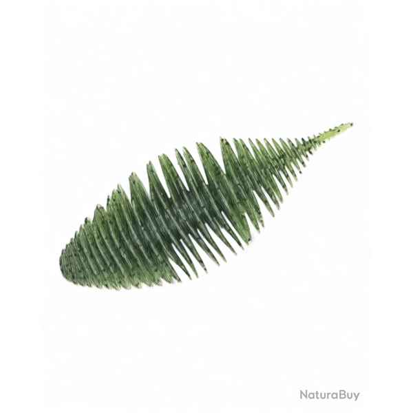 Bellow Gill 2,8p - 006 Watermelon Seed