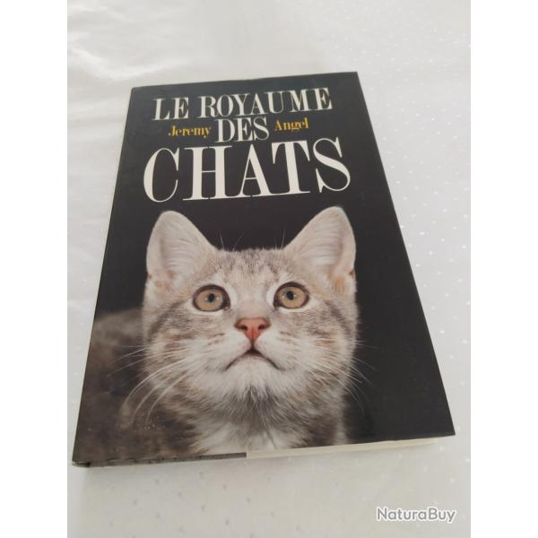 Le royaume des chats,Jrmy Angel