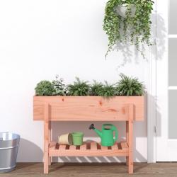 Lit sur&eacute;lev&eacute; de jardin 101x30x69 cm bois douglas massif