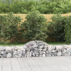 Paniers &agrave; gabions arqu&eacute;s 2 pcs 200x50x40/60 cm fer galvanis&eacute;