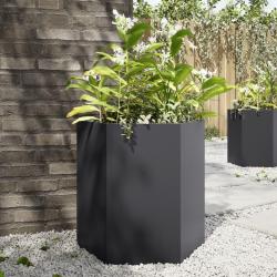 Jardini&egrave;res 2 pcs noir hexagone 46x40x45 cm acier