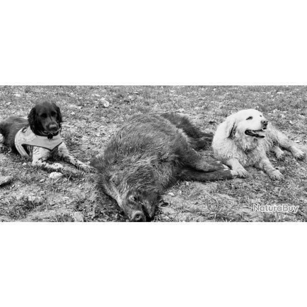 Action chasse dans le 76