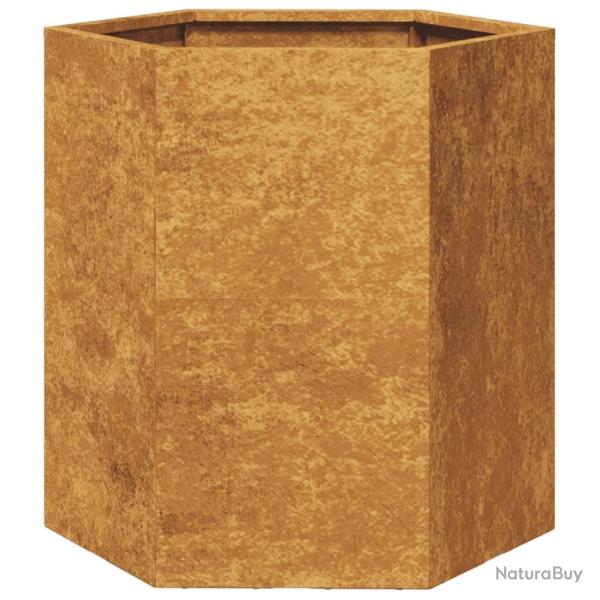 Jardini�re bac lit sur�lev� plantes fleurs terrasse jardin hexagone 46 x 40 x 45 cm acier corten ma