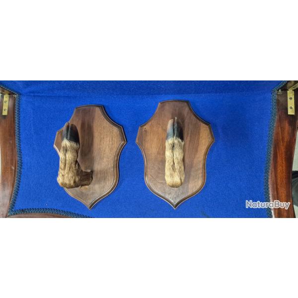 Porte fusil ratelier pr�sentoir en bois et pattes naturalis�