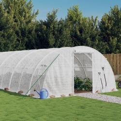Serre avec cadre en acier blanc 24 m&sup2; 6x4x2 m