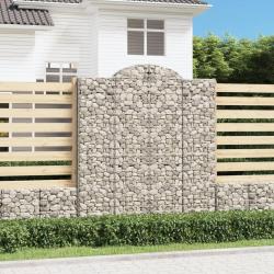 Paniers &agrave; gabions arqu&eacute;s 2 pcs 200x50x220/240 cm Fer galvanis&eacute;
